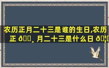 农历正月二十三是谁的生日,农历正 🕸 月二十三是什么日 🦋 子有何风俗